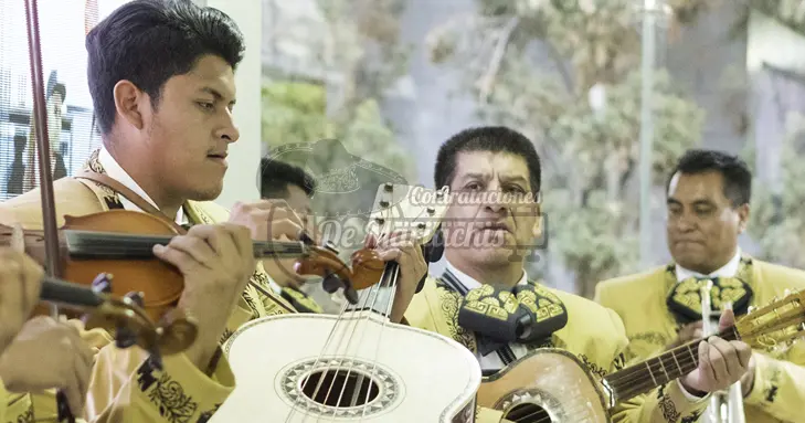 contrate mariachis colonia Av. Vasco de Quiroga