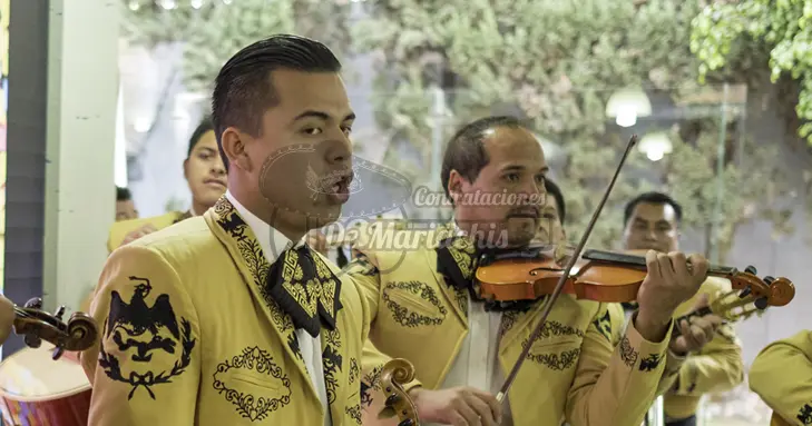 mariachis en Altavista Álvaro Obregón