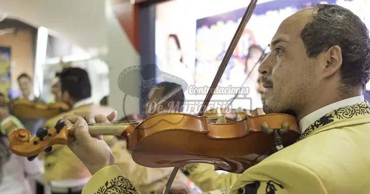 mariachis en Coyoacán 